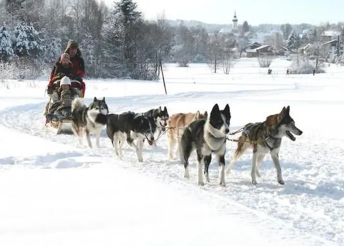 דירה Igel By Interhome Bayersoien